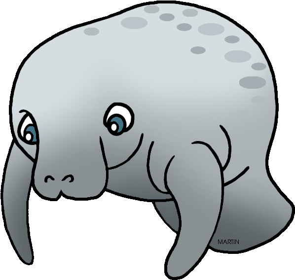 Florida State Marine Mammal Manatee - Florida State Marine Mammal (648x604)