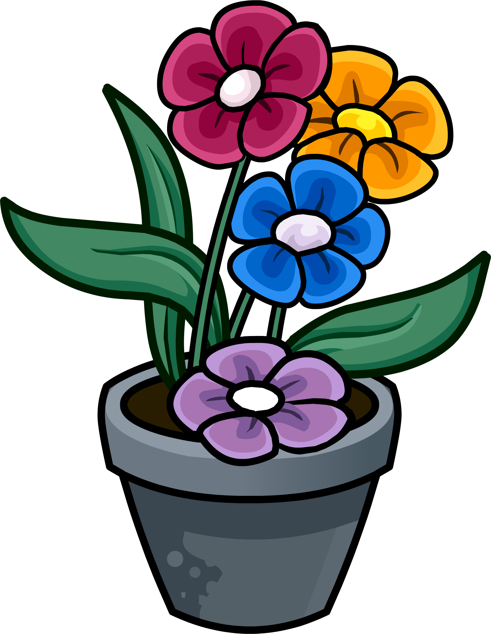 Flower Pot - Png - Flower Pot Drawing In Colour (1799x2362)