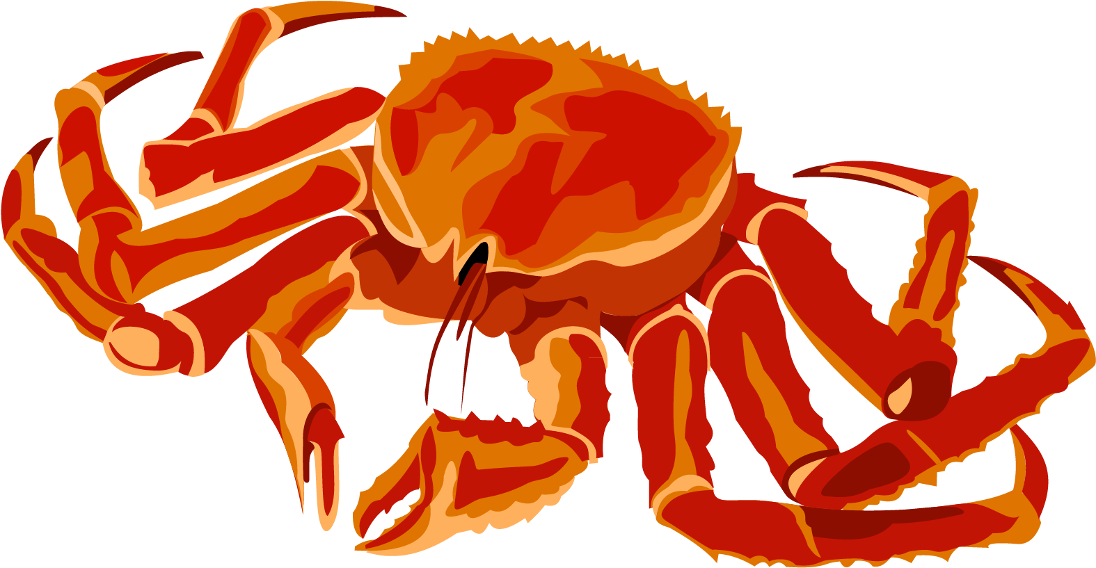 Краб рисунок png