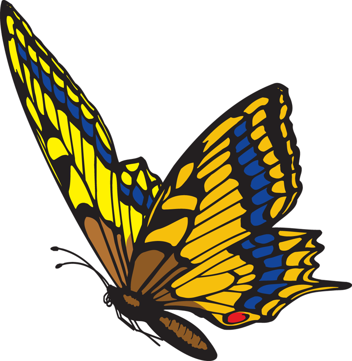 Butterfly Flying Clipart - Flying Butterfly Clip Art (717x736)
