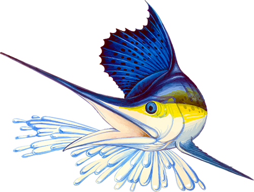 Sportfishing Clip Art (500x379)