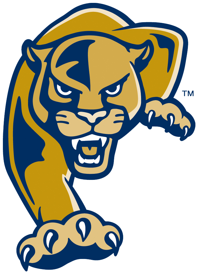 The Florida International University Landing Page From - Fiu Golden Panthers (750x990)