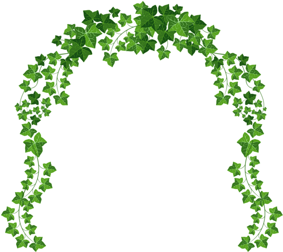 Vine Arch Png Clipart Picture - Vine Png (850x773)