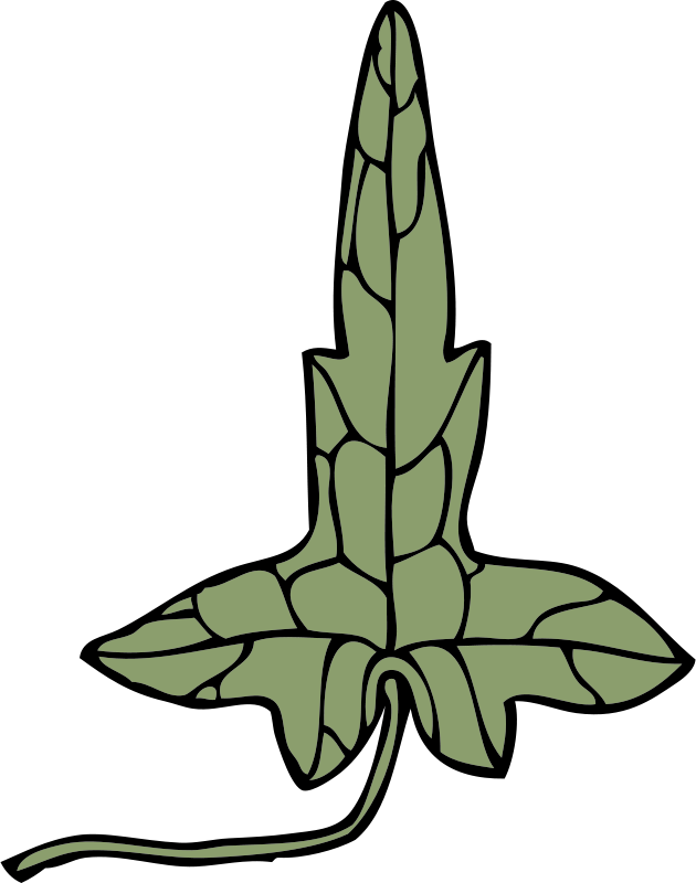 Ivy Leaf Clip Art Download - Clip Art (1007x1280)