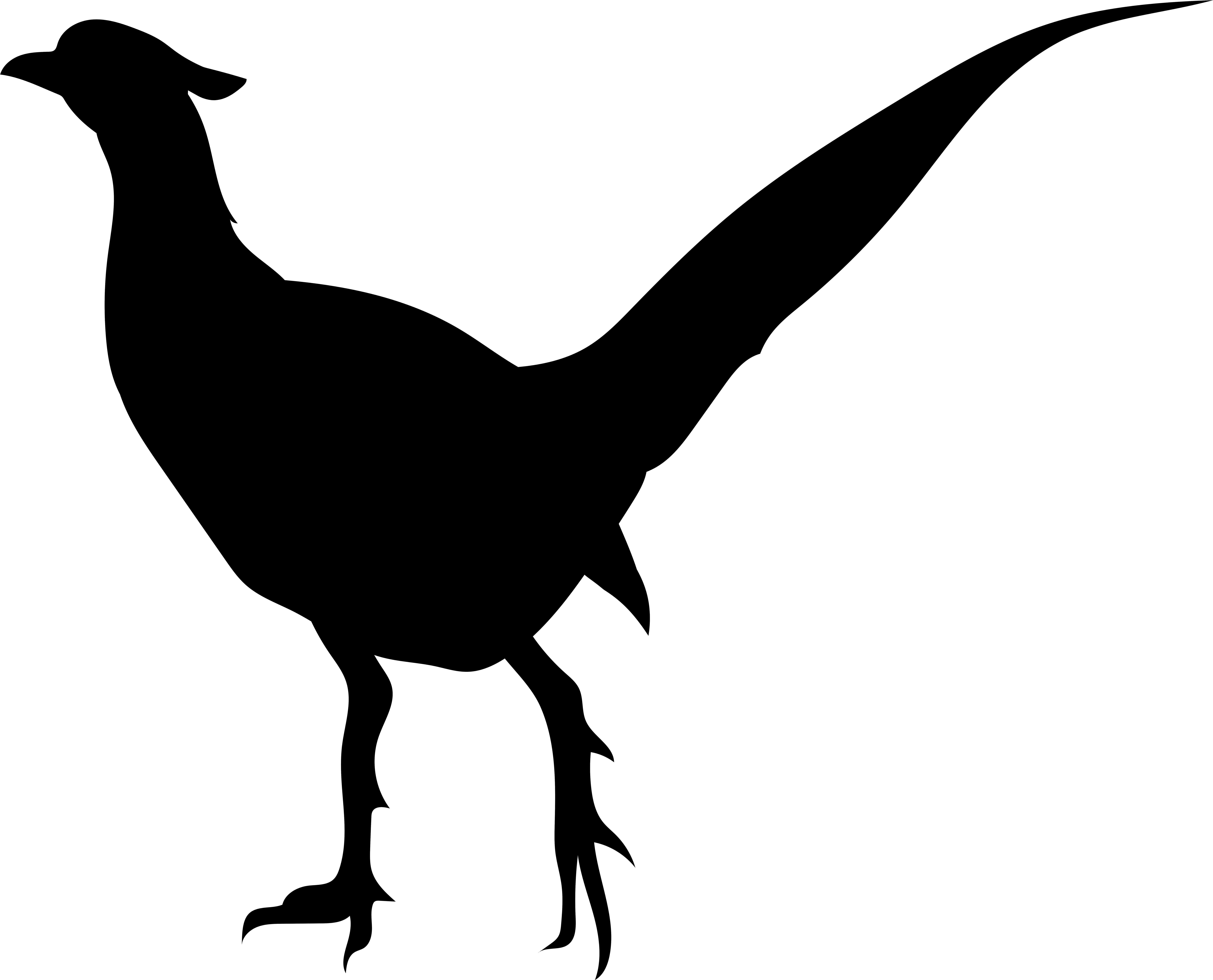 Bird Silhouette Png Transparent Clip Art Imageu200b - Bird Silhouette Png Transparent Clip Art Imageu200b (8000x6462)