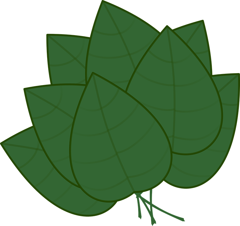 Basil Leaf Clip Art (1280x1205)