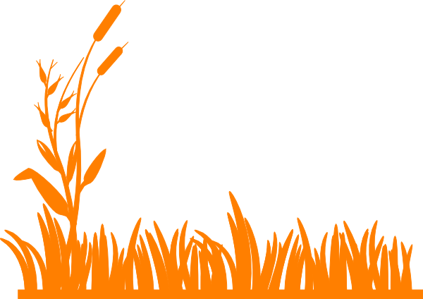 Grass - Border - Clipart - Grass Flat Png (600x424)