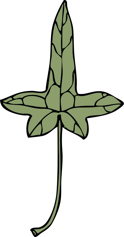 Free Ivy Leaf 9 - Clip Art (1258x2400)