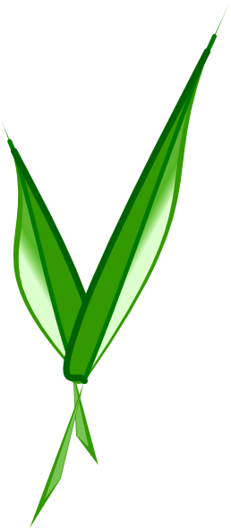 V Shaped Leaf (258x590)