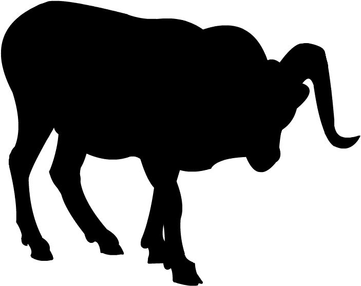 Dall Sheep Ram Silhouette By Grandechartreuse On Deviantart - Dall Sheep Silhouette (800x600)