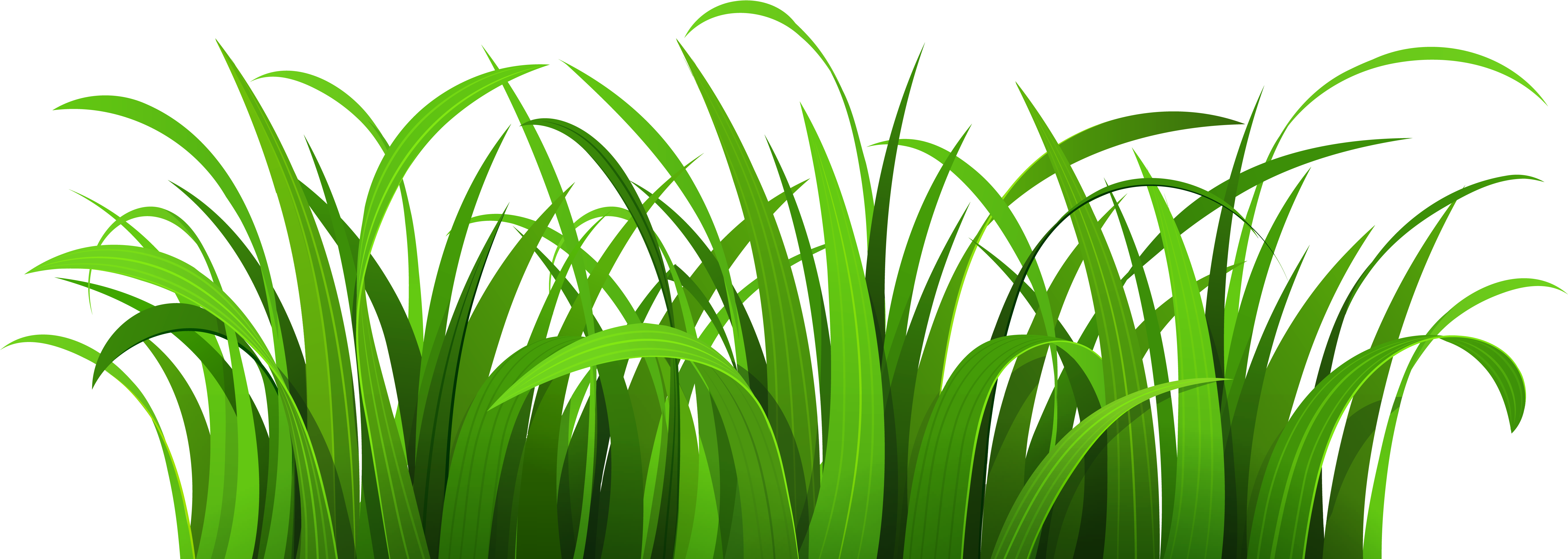 Blog Clip Art - Grass Clipart (6000x2247)