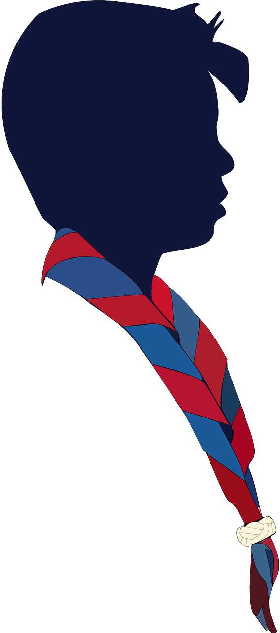 Are Cub Scouts And Boy Scouts - Bsp Senior Scout Logo (640x1280)