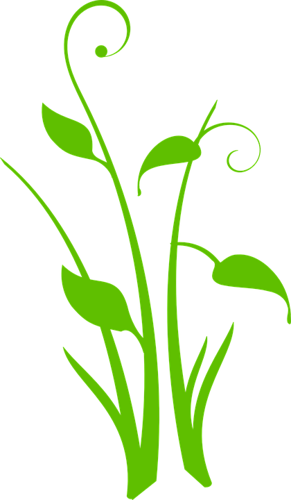 Grass Clipart Leaves Grass - Vectores Hojas Verdes Png (420x720)
