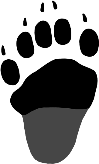 Black Bear Tracks Naturetracking - Black Bear Hind Paw Print (540x540)