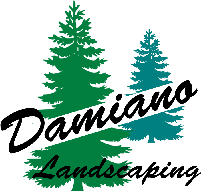 Damiano Landscaping - Lawn Maintenance - Google - Pine Tree Silhouette (718x718)
