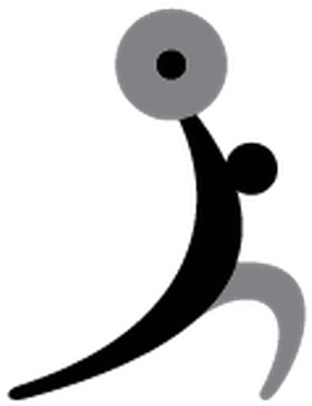 Sports - Speed (485x399)