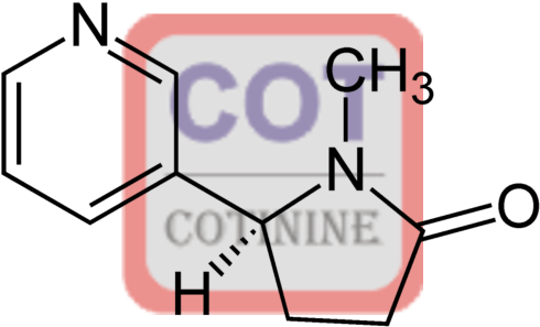 Cotinine-4 Conjugate - Synthesis Of M Nitrobenzoic Acid (500x500)
