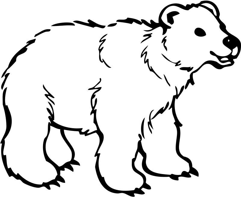 Black Bear Cartoon Free Download Clip Art Free Clip - Polar Bear Black And White (800x800)