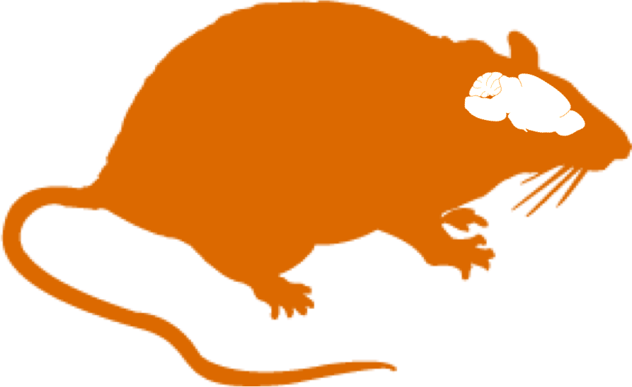 Rat Brain Clipart - Got Rat? Throw Blanket (893x548)