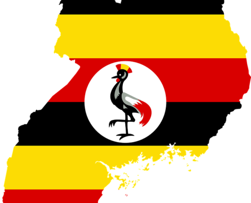 A Return To Uganda With Royal College Of Obstetrics - Uganda Flag (495x400)