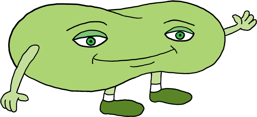 A Perfect World - Friendly Bean (900x417)