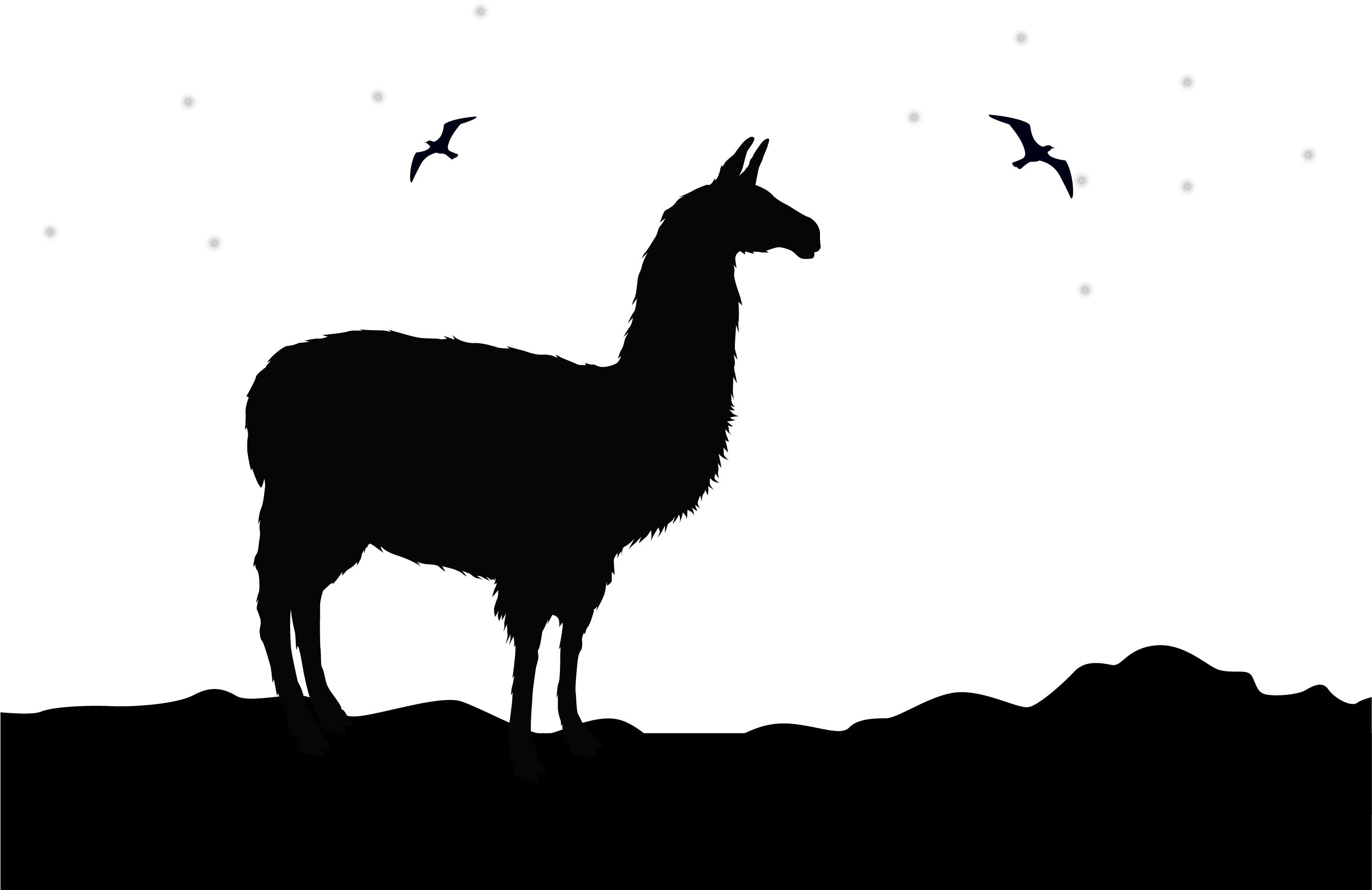 Alpaca Llama Logo Clip Art - Llama Silhouette (2917x1907)