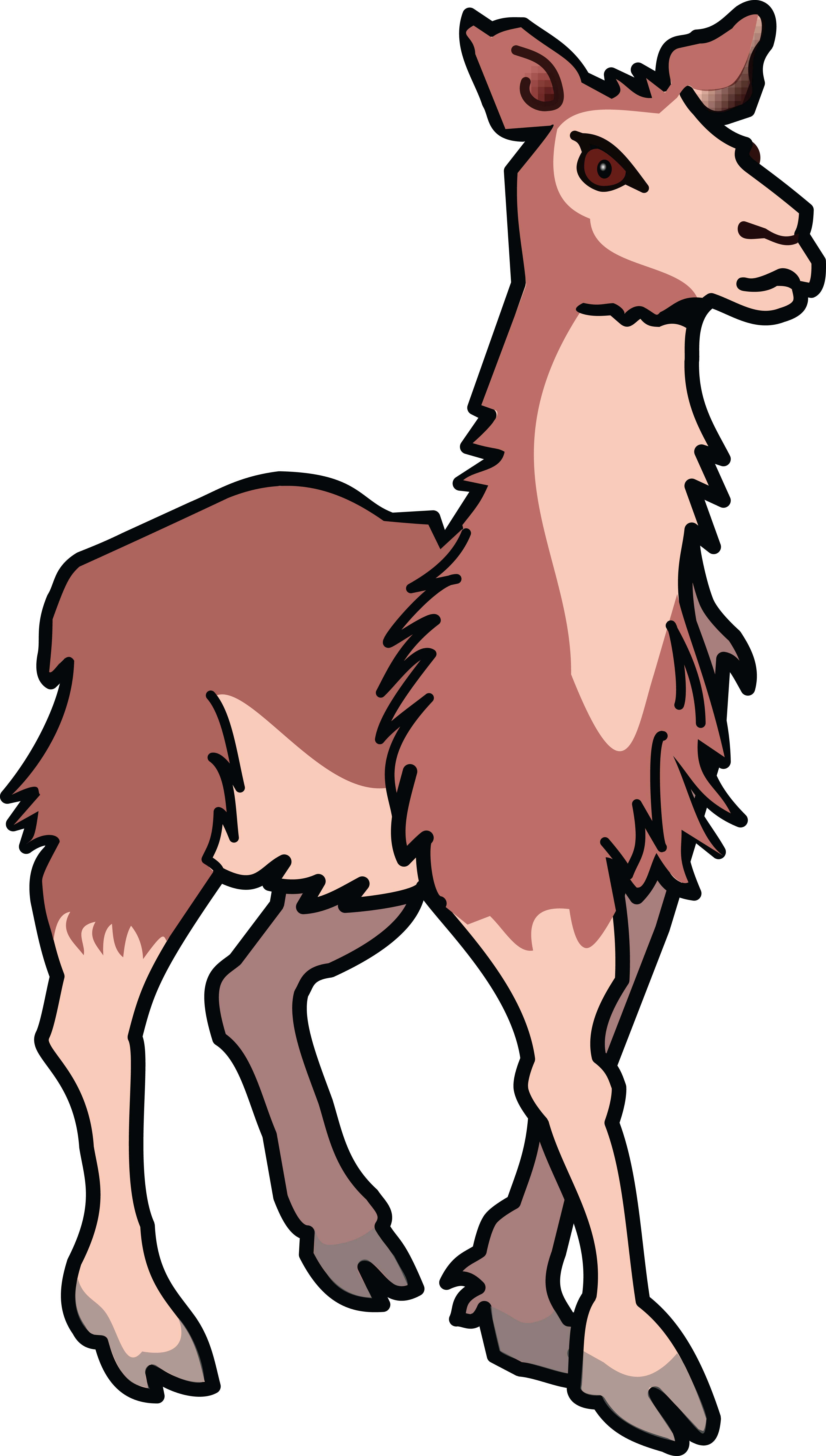 Free Clipart Of A Llama - Clip Art Lama (4000x7051)