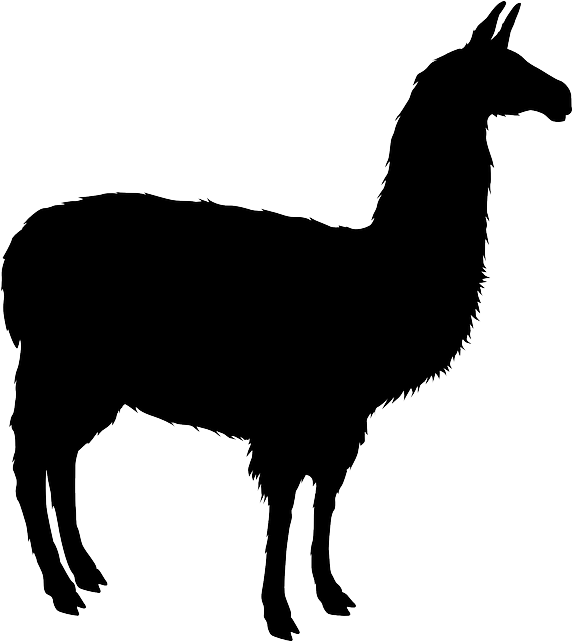 Alpaca - Llama T Shirt (1141x1280)