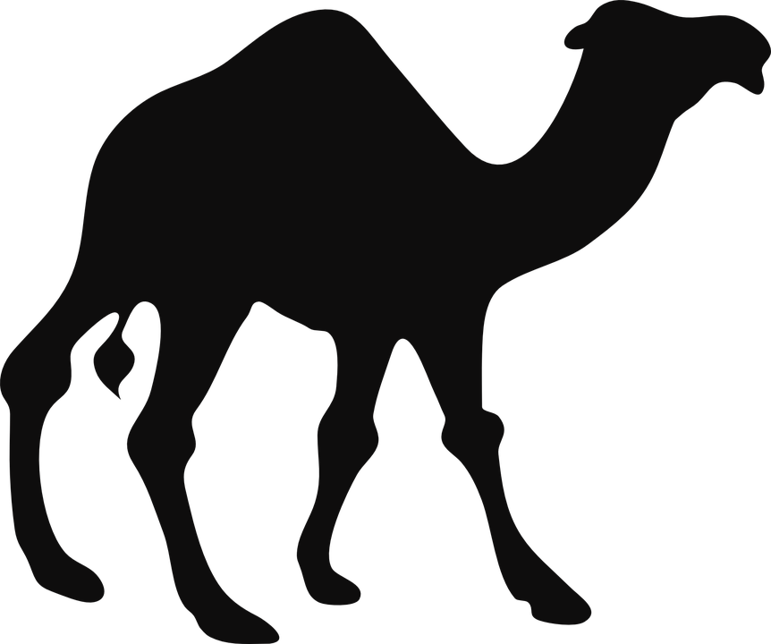 Camel Png - Camel Silhouette (862x720)