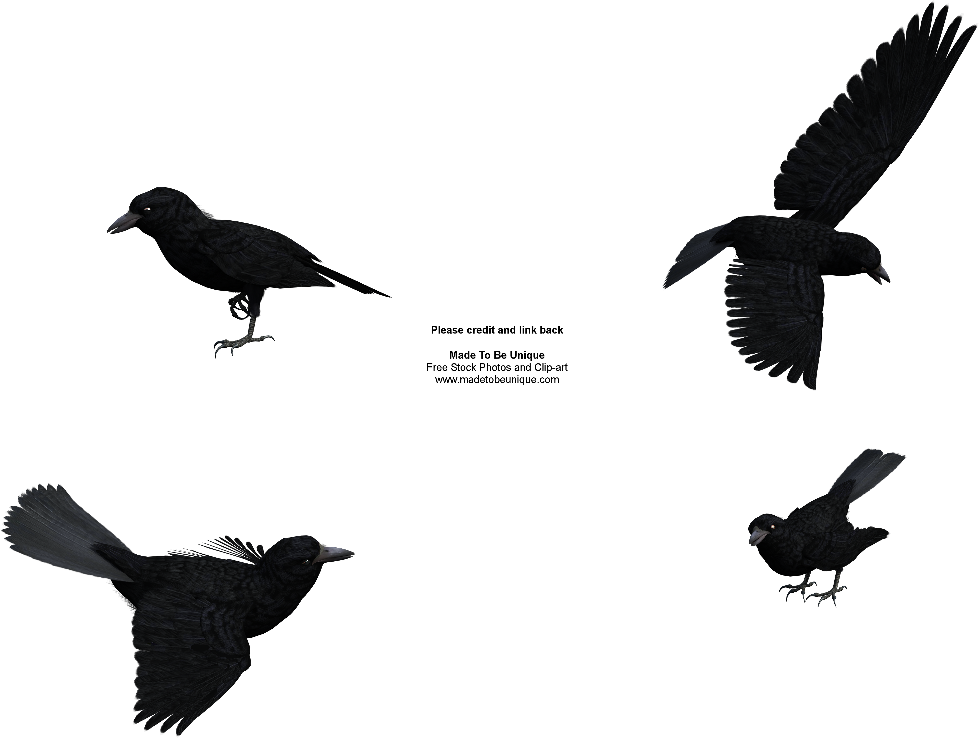 Raven Clip Art - Raven Clipart Free (4000x3200)