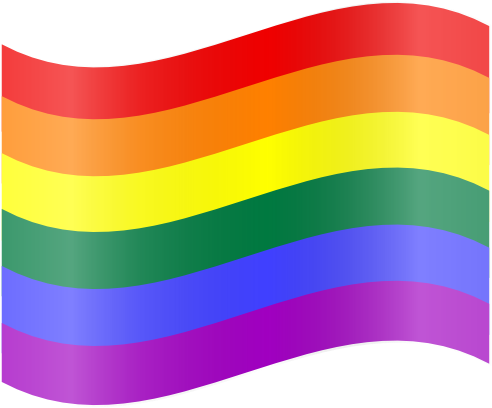 What's Next For Same-sex Marriage In Florida After - Lgbt Flag Png (555x444)