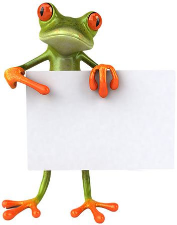 House Removal Companies - Frog 3d (381x454)