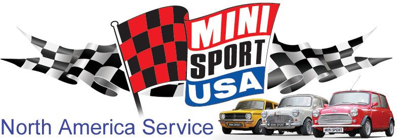 Mini Sport - 12 Hours Of Sebring (800x276)