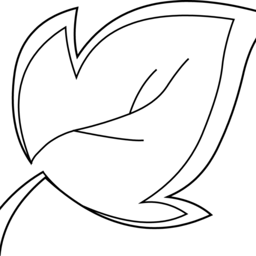 Leaf Outline Clipart Leaf Outline Clip Art Black Clipart - Clip Art (1024x1024)