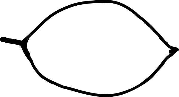 The Oxygen Rooms (600x328)