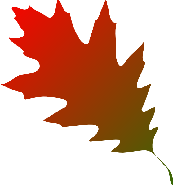 Cricut Cartridge Fall Leaves (558x597)
