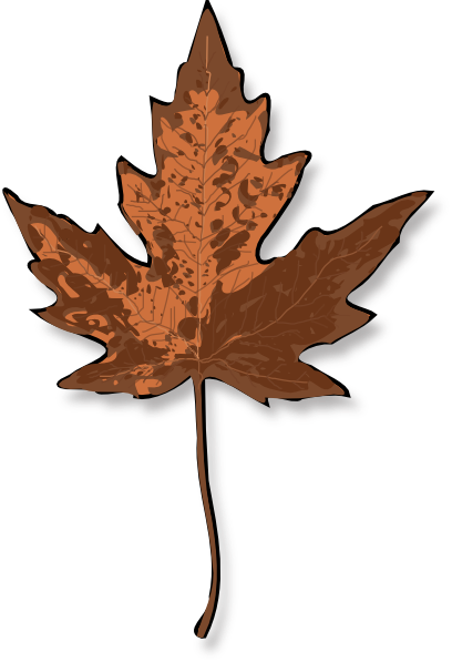 Brown Leaf Clip Art - Maple Leaf Clip Art (408x597)