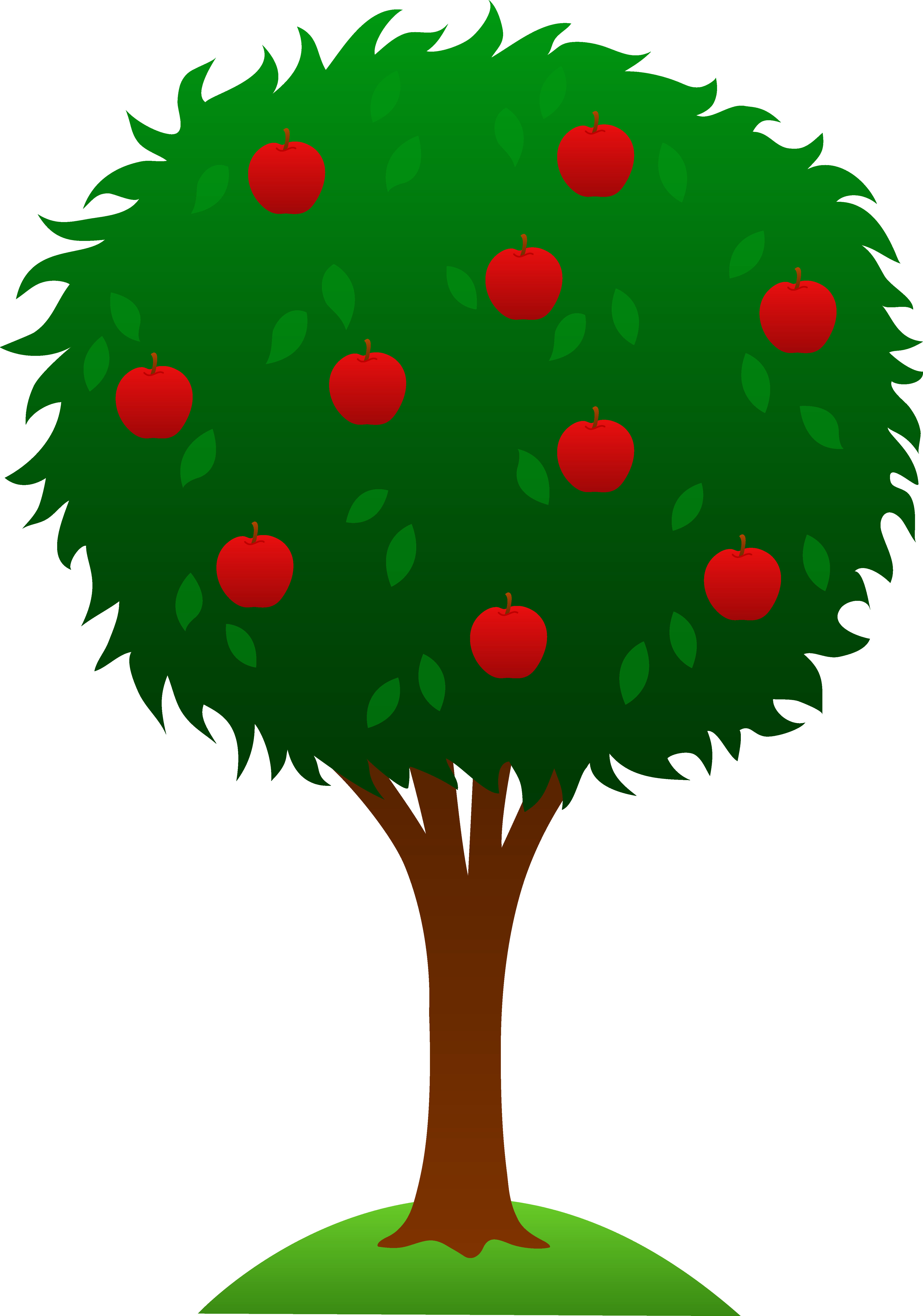 Cartoon Clipart Tree - Mango Tree Clip Art (4504x6424)