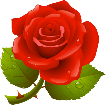 Natali На - Clip Art Of Rose (373x369)