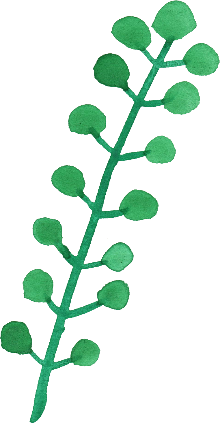 Free Download - Watercolor Leaves Clipart Png (762x1467)