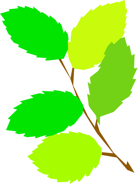 Branch With 5 Leaves Clipart (450x598)
