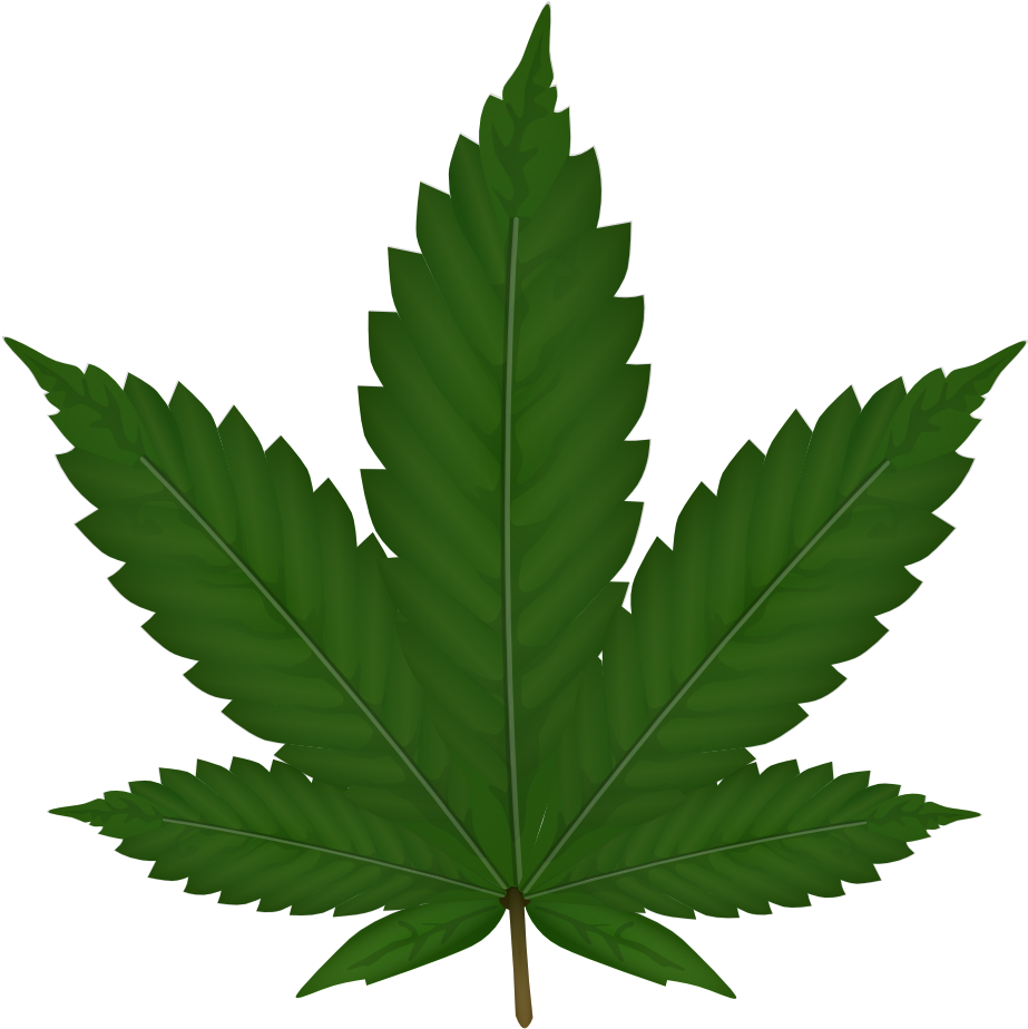 Green Leaf Png - Weed Plant Clip Art (999x1413)