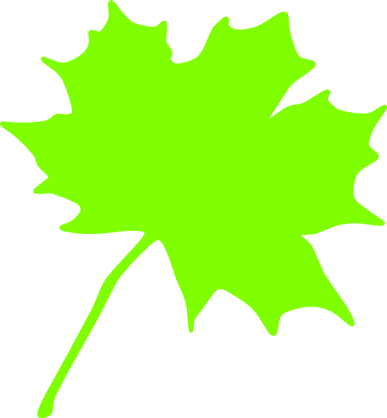 Green Leaf Clip Art At Clker - Maple Leaf (552x597)