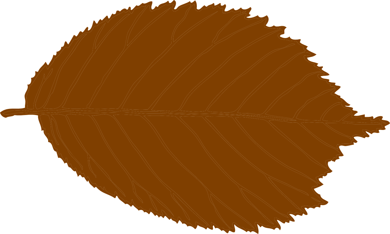 Leaves Clipart Brown Leaf - Brown Leaf Clip Art (1280x769)