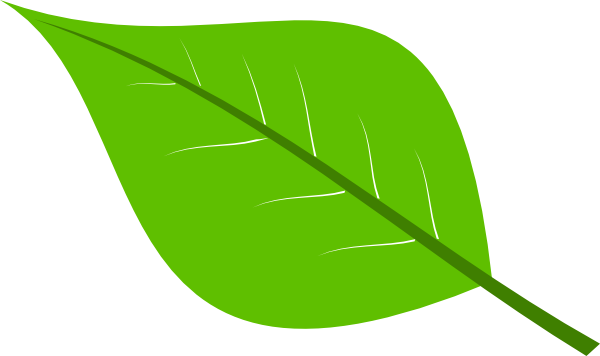 Green Leaves Clipart 1 - Green Leaves Clipart 1 (600x356)