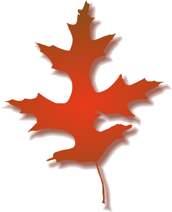There Is 51 Fall Oak Tree Free Cliparts All Used For - Fall Oak Leaf Clipart (800x906)
