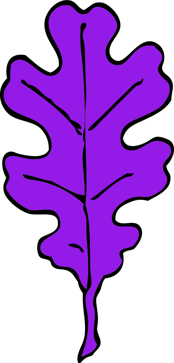 Vector Clip Art - Oak Leaf Clip Art (600x1253)