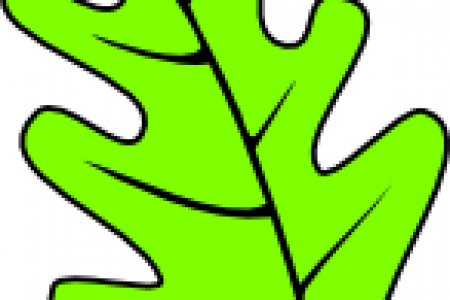 Leaf Clipart Oak Leaf - Oak (450x300)