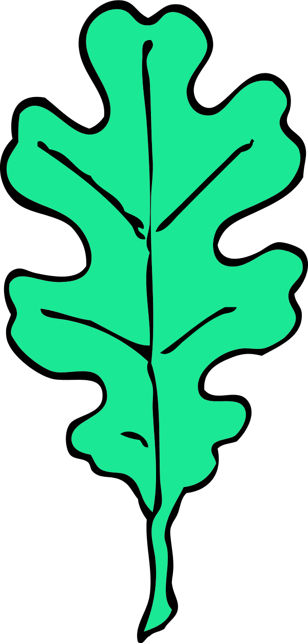Color Variation D - Oak Leaf Clip Art (600x1253)