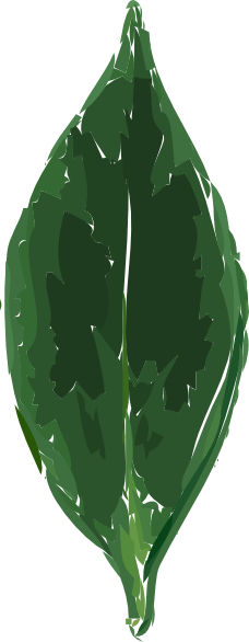 Tea Leaf Clipart - Tea Leaf Clip Art (228x586)